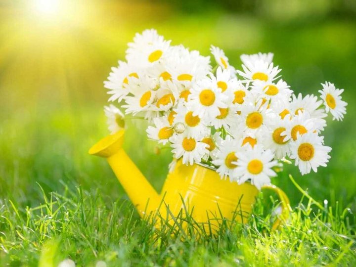 Якою буде погода у Луцьку та на Волині у понеділок, 28 липня