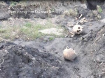 На Волині під час розкопок  знайшли рештки 4-ох людей. ВІДЕО