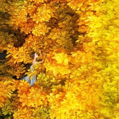 Світлина волинської бабусі - серед фото, які вразили весь світ. ФОТО