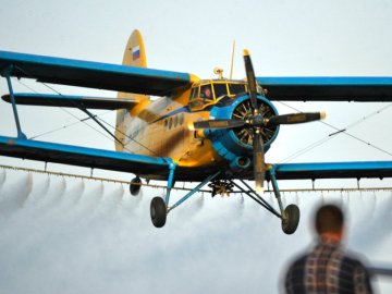 Над Волинню з літаків почали розкидати вакцину проти сказу