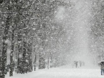 Погода в Луцьку та Волинській області на завтра, 29 листопада