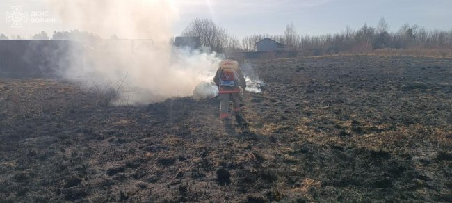 На Волині затримали палія сухої трави