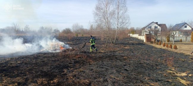На Волині затримали палія сухої трави