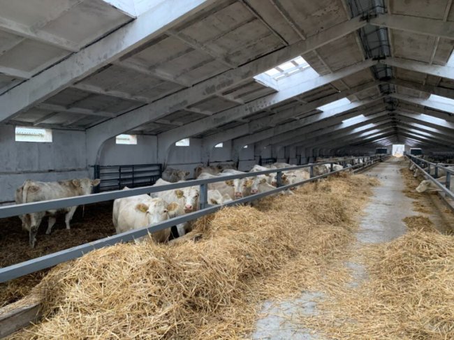 Волинське підприємство отримало премію «Вибір Країни» 2020