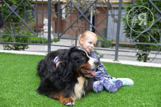  «Яровиця» – не лише хороше житло, а й концентрація успішного бізнесу* 