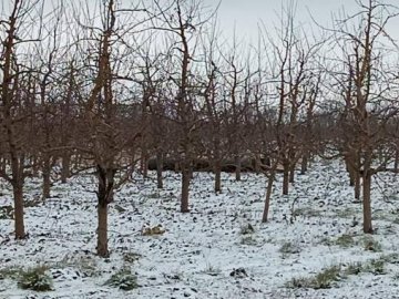 Російська атака: на території Молдови впала ракета