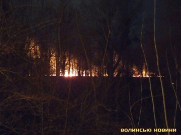 Пожежа у Луцьку: на узбережжі річки горить суха трава