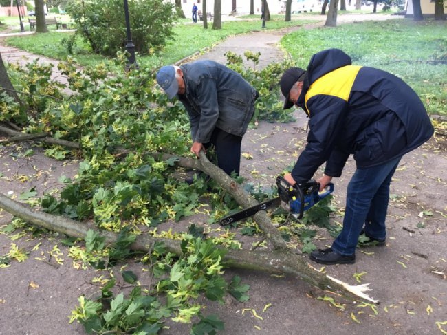 Поламані дерева і підтоплені вулиці: як у Володимирі усували наслідки негоди. ФОТО