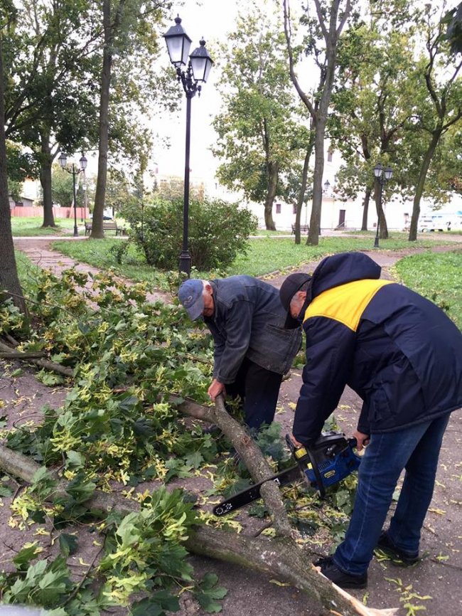 Поламані дерева і підтоплені вулиці: як у Володимирі усували наслідки негоди. ФОТО