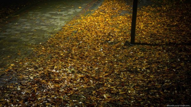 Фото нічного міста на Волині