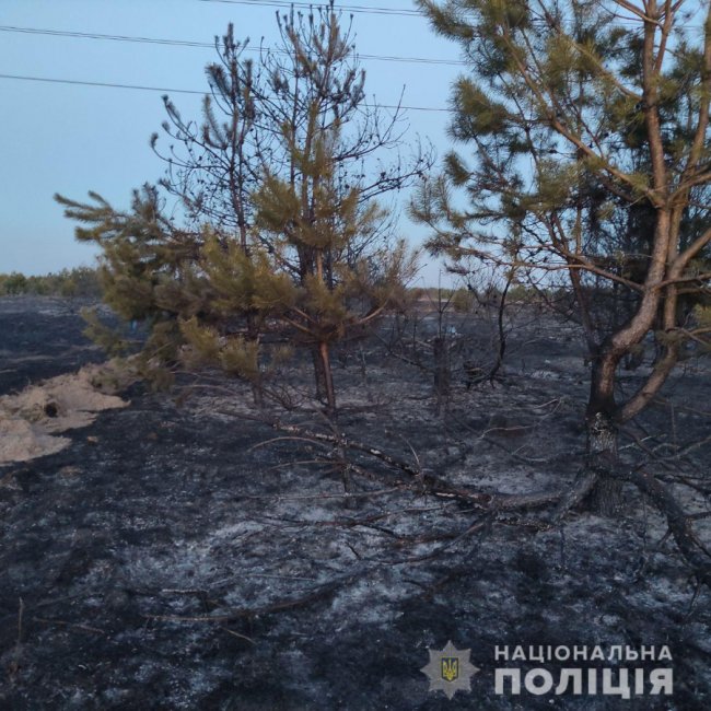  Через палія трави на Волині вигоріли 10 гектарів землі. ФОТО