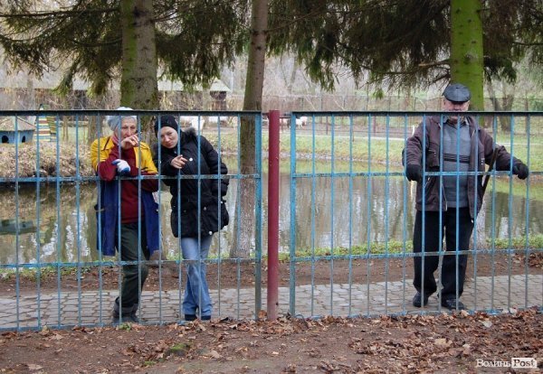Іноземці забрали ведмежа із луцького зоопарку. ФОТО. ВІДЕО