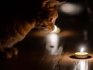 Де і коли на Волині відключатимуть світло 26 січня 