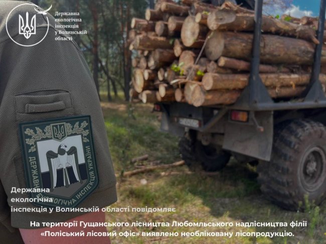 Вантажили на лісовоз: на Волині виявили необліковану деревину