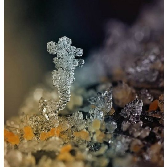 У мережі з’явились неймовірні «портрети» сніжинок. ФОТО