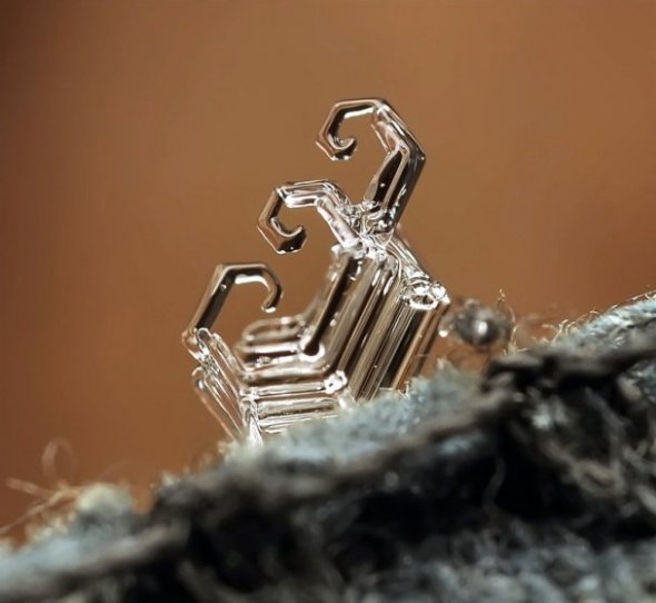 У мережі з’явились неймовірні «портрети» сніжинок. ФОТО