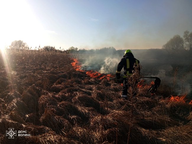 Вогонь підходив упритул до доріг та будинків: на Волині згоріло понад 30 га землі