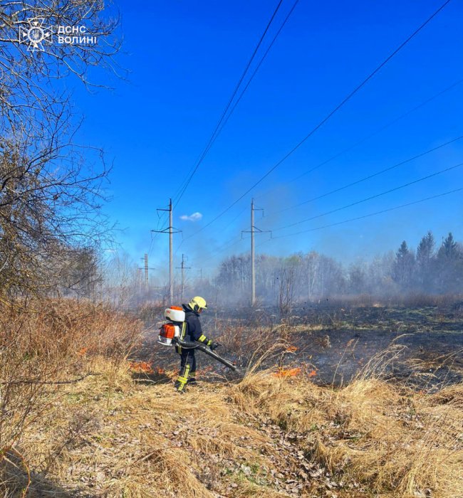 Вогонь підходив упритул до доріг та будинків: на Волині згоріло понад 30 га землі