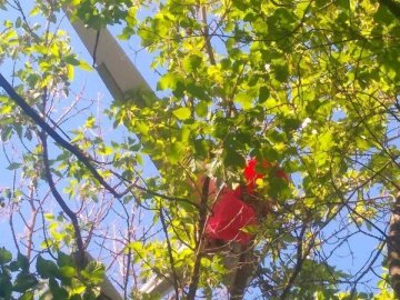 Волинська 14 ОМБр знищила ворожий «Орлан»