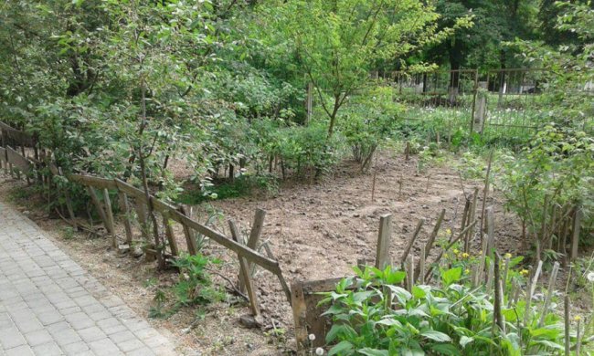 Дріт, гілки та штахети, - муніципали про «паркани» у дворах лучан. ФОТО