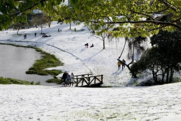 У Бразилії випав сніг. ФОТО. ВІДЕО
