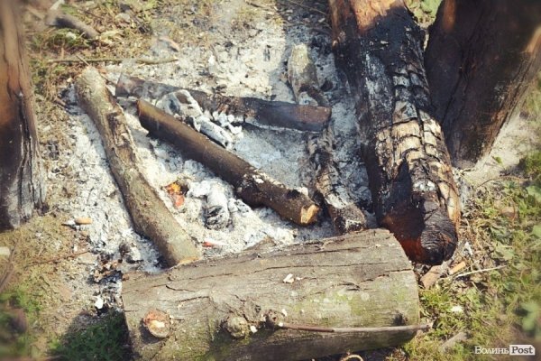 Наметове містечко на Бандерштаті: як жили фестивальники. ФОТО