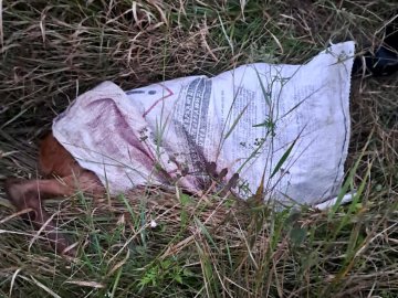 На Волині браконьєри вбили козулю