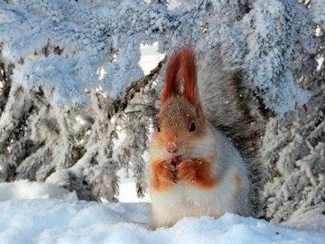 На Волинь суне похолодання