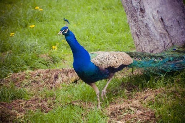 Фотовиставка: Роман Поліщук