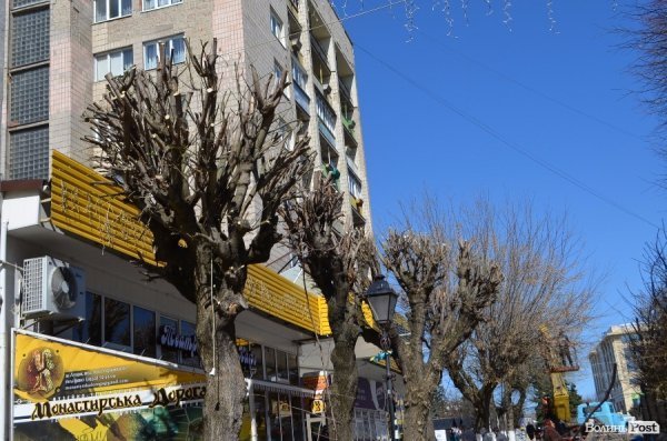 В центрі Луцька різали дерева. ФОТО