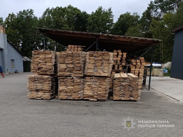 На Волині троє чоловіків вирубували ліс та продавали його