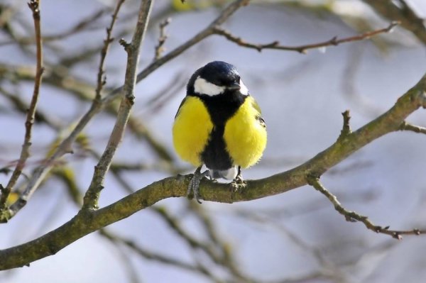 Біля бази луцьких ВВшників влаштували суботник. ФОТО