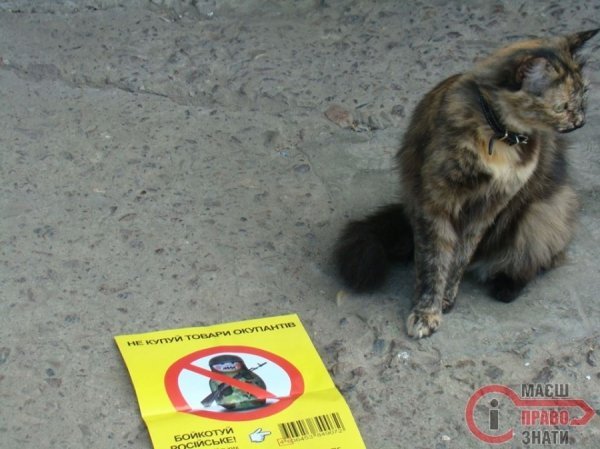 Нововолинська дісталася антипутінська кампанія. ФОТО