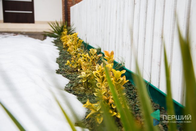 Як живеться у «Струмочку»: хто хазяйнує та як стежить за порядком у котеджному містечку*