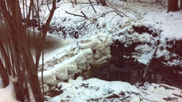 Копанка бурштину