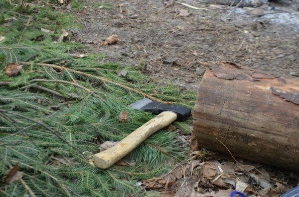 Як «Правий сектор» Волині навчався знешкоджувати «диверсантів». ФОТО