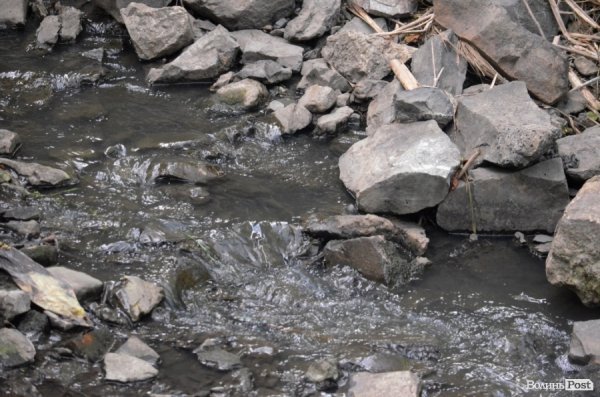 Фотопогляд: вулиця Шопена 