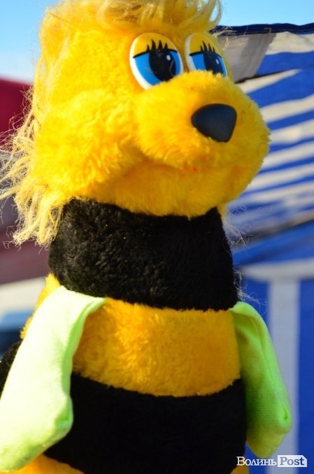 У Луцьку куштують, п’ють та лікуються медами. ФОТО  