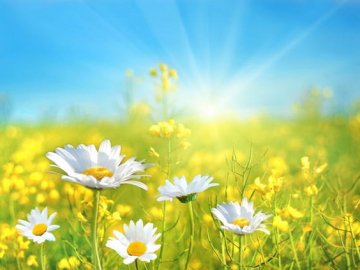 Погода в Луцьку та Волинській області на середу, 20 червня