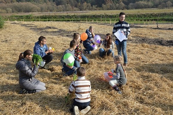На Волині діти садили дерева. ФОТО
