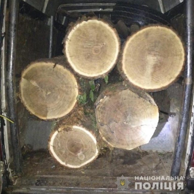 На Волині затримали бус з дубовими колодами