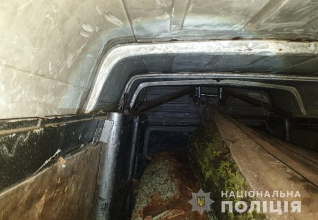 На Волині затримали бус з дубовими колодами