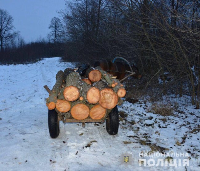 На Волині затримали вантажівку та кінну підводу з незаконним лісом. ФОТО