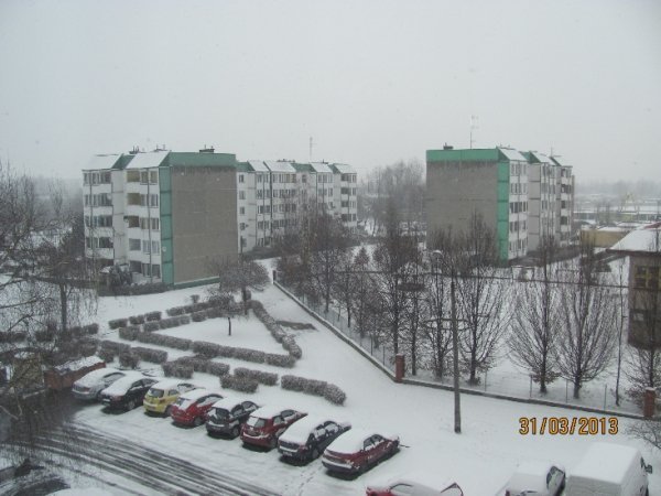 Польщу замело снігом. ФОТО. ВІДЕО