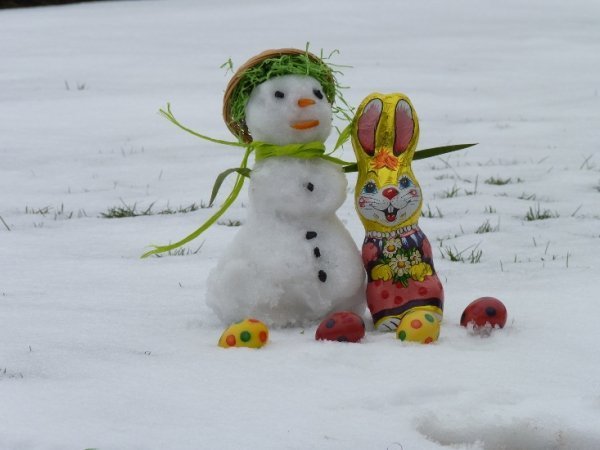 Польщу замело снігом. ФОТО. ВІДЕО