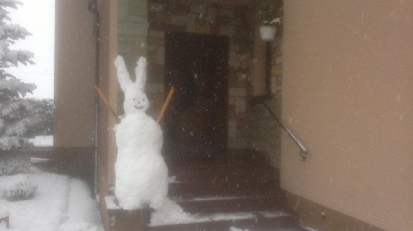 Польщу замело снігом. ФОТО. ВІДЕО