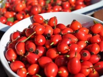 На посту «Доманове» вилучили майже 15 тон шипшини