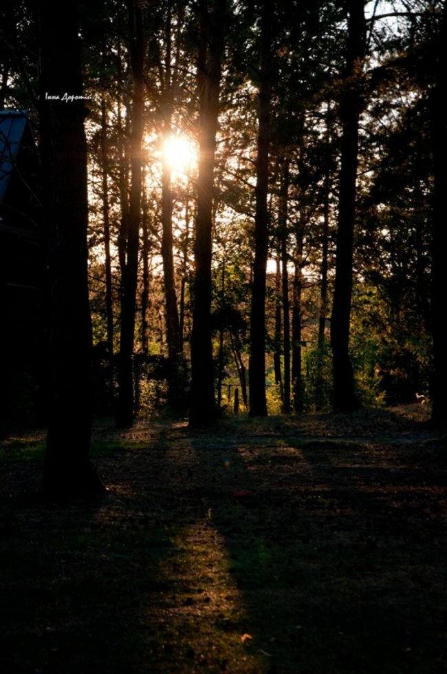 «Змілілий, але затишний», –  лучанка про осінній Світязь. ФОТО