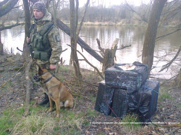 Волиняни намагалися перевезти через кордон 9 тисяч пачок сигарет. ФОТО. ВІДЕО
