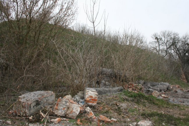 В Олиці відбулася толока навколо маєтку Радзивіллів. ФОТО